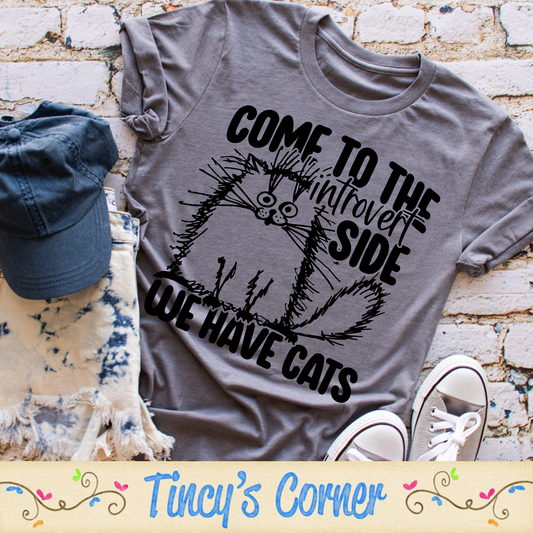 Come to the Introvert Side STP