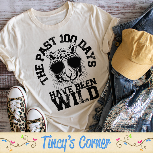 The Past 100 Days SPT