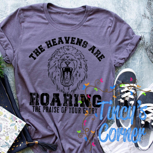 The Heavens are Roaring SPT